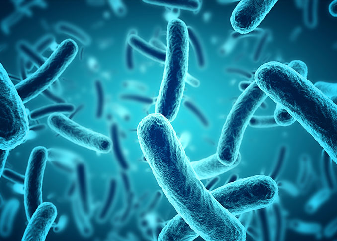 Microbiology